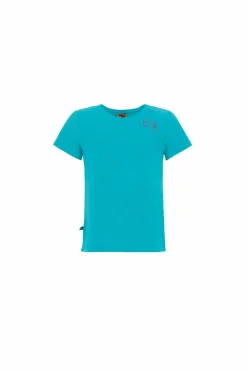 E9 B Amira Clearance